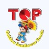 TOP Sunflower