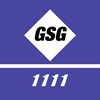 Guiding Star Group Limited
