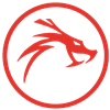 21st Century Dragon