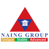 Naing Group