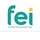 FEI Co.,Ltd