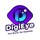 DigiEye Digital Marketing Agency