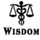 Wisdom International Trading Co.,Ltd