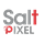 Salt & Pixel Company Ltd